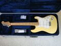 FENDER Player Stratocaster MN BCR E Gitarre inkl. Koffer