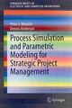 Prozesssimulation und parametrische Modellierung für strategisches Projektmanagement,...