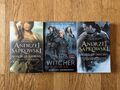 Andrzej Sapkowski The Witcher X3 Das letzte Wunschschwert des Schicksals Saison der Stürme