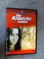 DVD - Russische Klassiker - DIE KRANICHE ZIEHEN - Michael Kalatosow