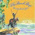 Best of Brother Years von Beach Boys, The | CD | Zustand sehr gut