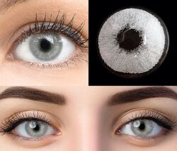 GLAMLENS Farbige graue Kontaktlinsen mit & ohne Stärke weich grau Pisa Gray