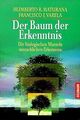 Der Baum der Erkenntnis. Die biologischen Wurzeln des me... | Buch | Zustand gut