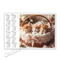 Katzenkalender + + Taschenkalender 2024  |  Calendar 2024 [K03]