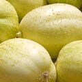 APFEL-GURKE 10 Samen CUCUMIS SATIVUS 'CRYSTAL APPLE' süß SAFTIG seed ERTRAGREICH