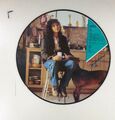 12" LP Vinyl - Various – Flashdance  Soundtrack – Picture Disc T3807 Z08