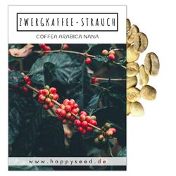 Kaffee Samen (Coffea arabica nana) - Zwergkaffee Strauch Samen für zu Hause