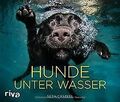 Hunde unter Wasser von Seth Casteel | Buch | Zustand sehr gut