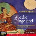 Wie die Dinge sind: Eine zeitgemäße Einführung in die Lehre Buddhas: Eine zeitge