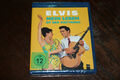 Mein Leben ist der Rhythmus - Musikfilm mit Elvis Presley , DVD NEU OVP