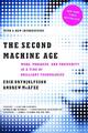 The Second Machine Age | Erik Brynjolfsson (u. a.) | Taschenbuch | 310 S. | 2016