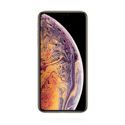 Apple iPhone XS Max 64GB Gold *WIE NEU* MwSt nicht ausweisbar