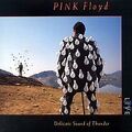 Delicate Sound of Thunder von Pink Floyd | CD | Zustand sehr gut