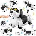 Ferngesteuerter Roboter Hund für Kinder RC Roboterspielzeug mit Folgt Tanz Musik