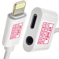 Adapter für iPhone Lightning Splitter 2in1 AUX Klinke 3.5 Audio Kopfhörer Auto