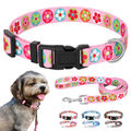 Nylon Hundehalsband Welpenhalsband mit Leine set Haustier Halsbänder Verstellbar