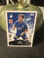 Topps TCG / Sammelkarte / Dennis Geiger / TSG / Bundesliga / Mittelfeld / #8