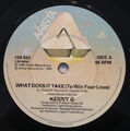 Kenny G - What Does It Take (To Win Your Love) / Singvogel (7")