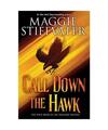 Call Down the Hawk (the Dreamer Trilogy, Book 1): Volume 1, Maggie Stiefvater