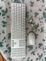 Apple Keyboard A1243 USB QWERTZ Ger.  Mighty Mouse USB Mouse - White A1152