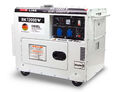 RK12000W Diesel Stromerzeuger Stromgenerator Notstromaggreg AVR E-Start