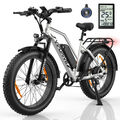 E-Bike 24 Zoll Fat Tire Elektrofahrrad 48V 13AH 25km/h Mountainbike Bis 100 km