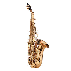 Bb Sopransaxophon Sax Holzblasinstrument mit Tragetasche T0Z5