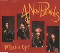 4 Non Blondes - What's Up (4 Track Maxi CD) 