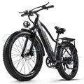 Ebike 1000W E Mountainbike 48V 20Ah Elektrofahrrad 45km/h 26 Zoll Fatbike 45km/h