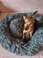 Hundebett- Wolke 7 -das Original