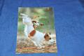 AK Postkarte Hund (34) Jack Russell Terrier