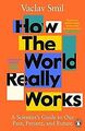 How the World Really Works: A Scientist’s Guide to ... | Buch | Zustand sehr gut