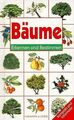 Bäume | Buch | Zustand sehr gut