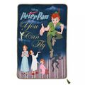Disney Peter Pan Tinkerglocke Wendydecke Wendewurf gemütlich - 110x55cm