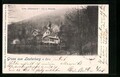 Ansichtskarte Lauterberg / Harz, Hotel Felsenkeller, Inh. L. Bäumler 1902 