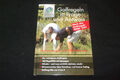 Golf - Golfregeln in Frage und Antwort nach den Golfregeln 2008-2011 - gebunden