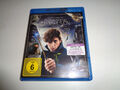 Blu-Ray  Phantastische Tierwesen und wo sie zu finden sind 3D