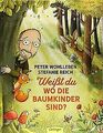 Weißt du, wo die Baumkinder sind? von Wohlleben, ... | Buch | Zustand akzeptabel