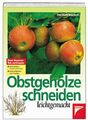 Obstgehölze schneiden leichtgemacht