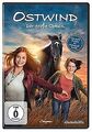 Ostwind - Der große Orkan von Constantin Film (Universal ... | DVD | Zustand gut