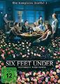 Six Feet Under - Gestorben wird immer, Die komplette Staf... | DVD | Zustand gut