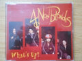 4 Non Blondes WHAT`S UP?  (Maxi Single)