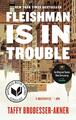 Fleishman Is in Trouble | Taffy Brodesser-Akner | englisch