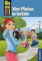 Die drei !!!, 79, Vier Pfoten in Gefahr von Sol, ... | Buch | Zustand akzeptabel