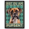 Boxer - Bist du am Pupsen? Hunde Poster Badezimmer Gästebad Wandbild Klo Toilet