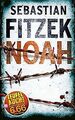 NOAH (BILD am Sonntag Thriller 2019) von Sebastian ... | Buch | Zustand sehr gut