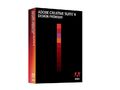 Adobe Creative Suite CS4 Design Premium, Windows, Vollvers. , deutsch, USB-Stick