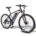 E-Bike Elektrofahrrad Fahrrad Mountainbike 36V 250W 13Ah 26 Zoll Pedelec 25KM/H