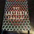 Das Labyrinth erwacht von Wekwerth, Rainer