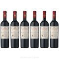 6 Flaschen Doppio Passo Puglia Primitivo IGT 0,75 L 13%vol